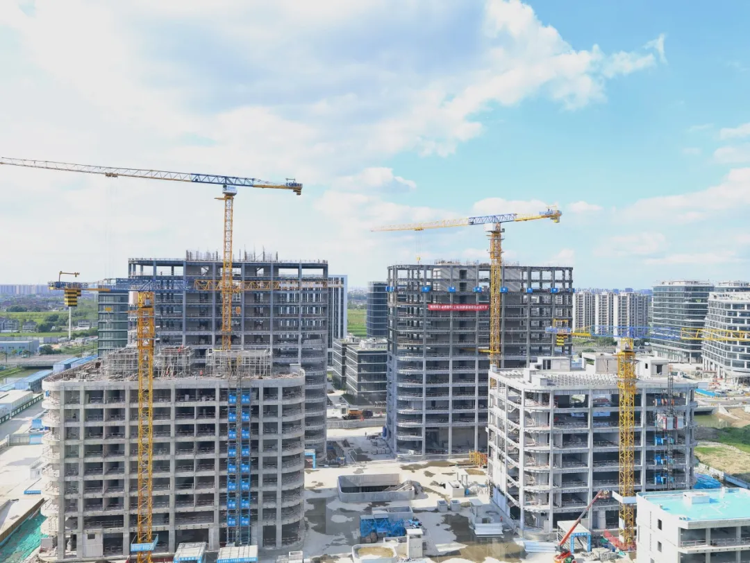 同心同向 造炬成阳 | bifa必发股份2024年第三季度动态速览